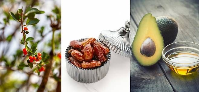 (왼쪽부터) 야우폰·대추야자·아보카도 오일 [123RF]