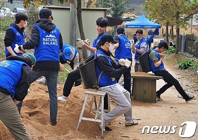 내추럴발란스 블루엔젤봉사단이 23일 경기 용인시 한 동물보호소에서 봉사활동을 하고 있다. ⓒ 뉴스1 최서윤 기자