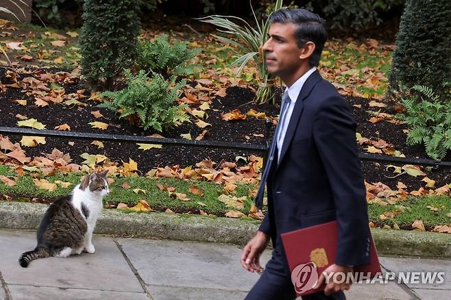 영국 리시 수낵 신임 총리와 총리실 고양이 래리 (런던 로이터=연합뉴스) 리시 수낵 영국 신임 총리가 25일(현지시간) 다우닝가 10번지 총리실로 걸어가며 총리실 고양이 래리 옆을 지나고 있다. 2022.10.25 photo@yna.co.kr