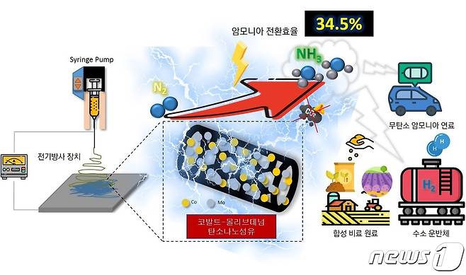 탄소배출없이 '그린 암모니아' 를 얻는 새로운 촉매기술 개발도(지스트 제공)/뉴스1