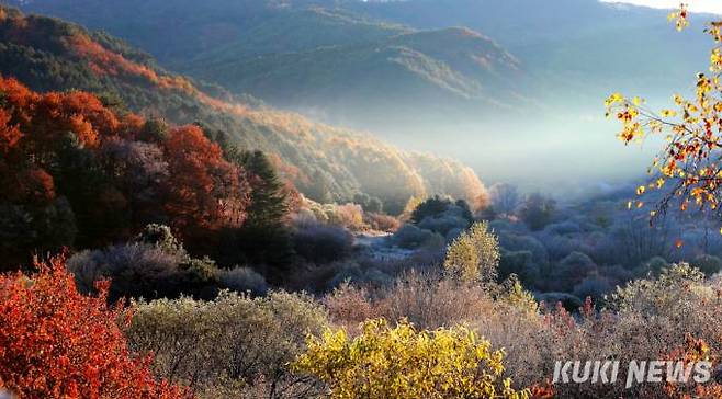 26일 강원 인제군 남면 갑둔리 일명 '비밀의 정원'에 상고대가 피어 만추의 계절을 연출하고 있다.