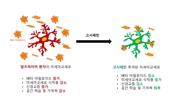 포스텍 연구팀 제공