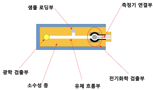 대장암 진단 센서(키트) 모식도.[KBSI 제공]