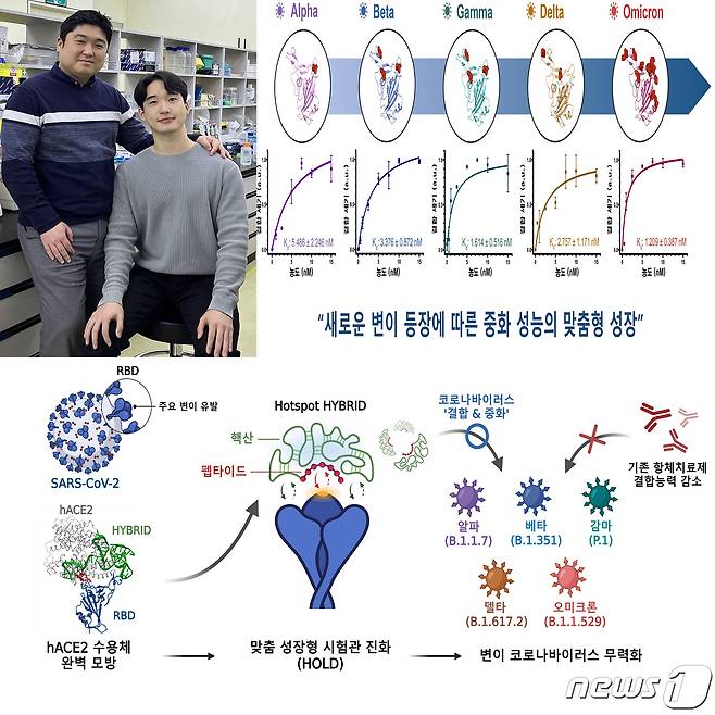 포스텍(포항공대 김무환) 신소재공학과 오승수 교수팀이 신종 코로나바이러스 감염증(코로나19)변이 발생에 더 우수한 성능을 갖춘 중화제 개발 플롯폼 기술을 세계 최초로 개발했다.(포스텍제공)2022.10.27/뉴스1