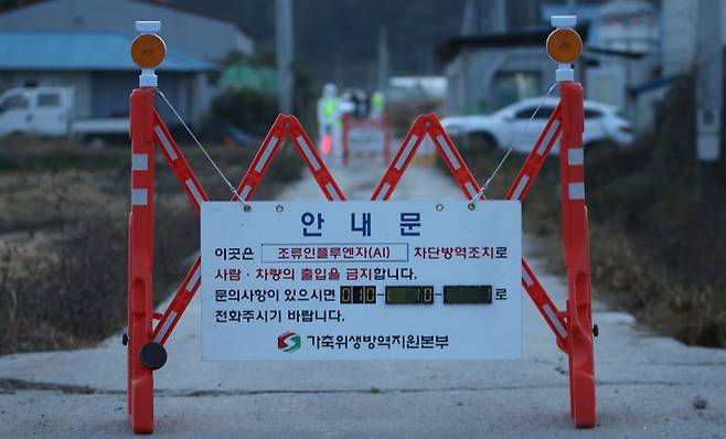 [진천=뉴시스] 강신욱 기자 = 26일 충북 진천군 이월면 육용오리 농장에서 조류인플루엔자가 의심된다는 신고가 들어와 가축방역당국이 농장 진입로를 통제하고 있다. 2022.10.26. ksw64@newsis.com