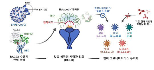 포스텍 오승수 교수 연구 관련 이미지   포스텍 제공