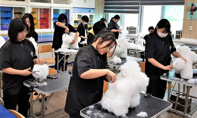 한국펫고등학교 학생들이 미용 실습을 하고 있다. 한국펫고등학교 제공