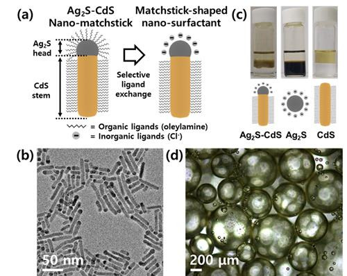 황화은-황화카드뮴 나노 계면활성제 합성 공정과 모습들 [울산과학기술원 제공. 재판매 및 DB  금지]