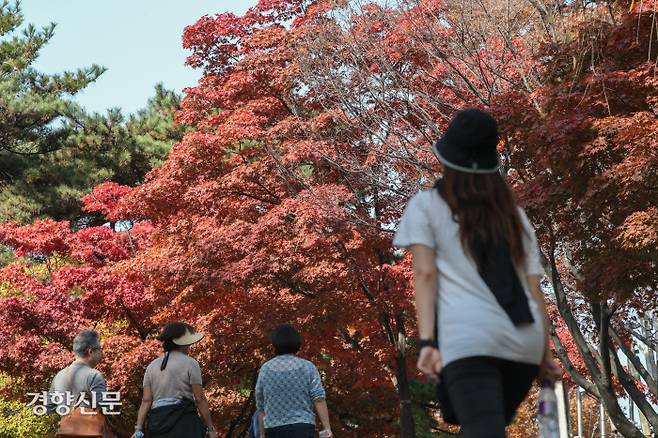 28일 서울 중구 남산에서 시민들이 붉게 물들어가는 단풍을 배경으로 깊어가는 가을을 즐기고 있다. 성동훈 기자