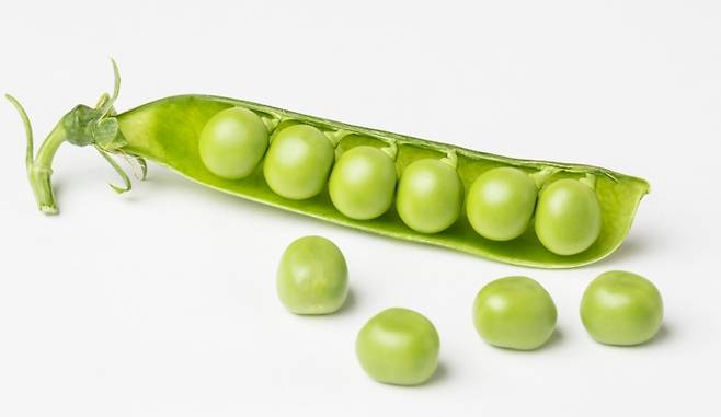 이미지투데이