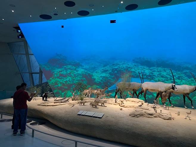 카타르 대표 박물관 모습은      (도하=연합뉴스) 김예나 기자 = 지난 23일(현지시간) 찾은 카타르 국립박물관에서 관람객들이 전시를 보고 있다. 2022.10.27
    yes@yna.co.kr