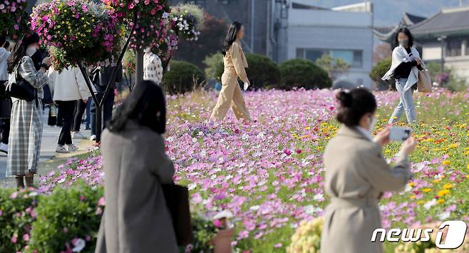 낮 최고기온이 평년 수준으로 회복하며 포근한 가을 날씨를 보인 27일 서울 종로구 송현동 공원을 찾은 시민들이 코스모스 등으로 조성된 꽃길을 산책하고 있다. 2022.10.27/뉴스1 ⓒ News1 장수영 기자