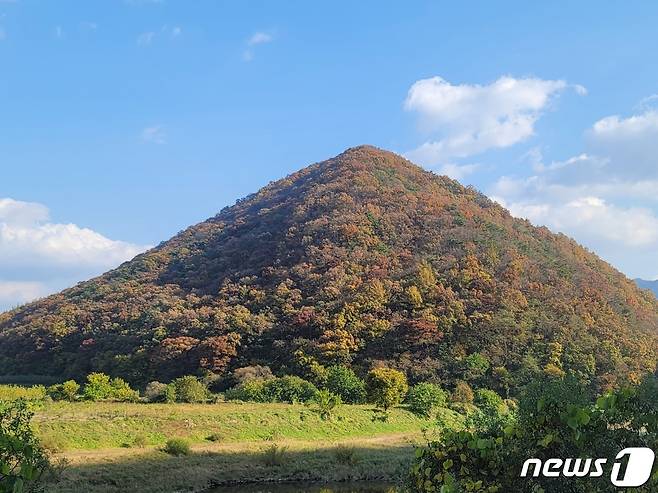 29일 오전 8시 27분쯤 충북 괴산군 북동쪽 12㎞ 지역에서 규모 4.1의 지진이 발생했다. 이날 지진 진앙으로 확인된 괴산군 장연면 조곡리 마을 앞산. ⓒ News1 장동열 기자