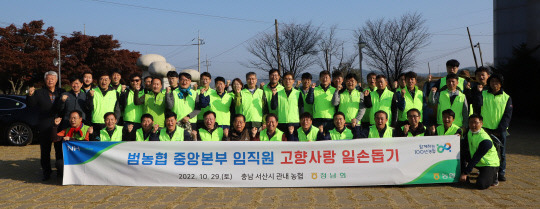 충남세종농협(본부장 이종욱)은 29일 본격적인 김장철에 앞서 일손부족으로 수확에 어려움을 겪고 있는 서산시 팔봉면 생강 재배 농가를 찾아 일손돕기 봉사활동을 했다. 사진=충남세종농협 제공