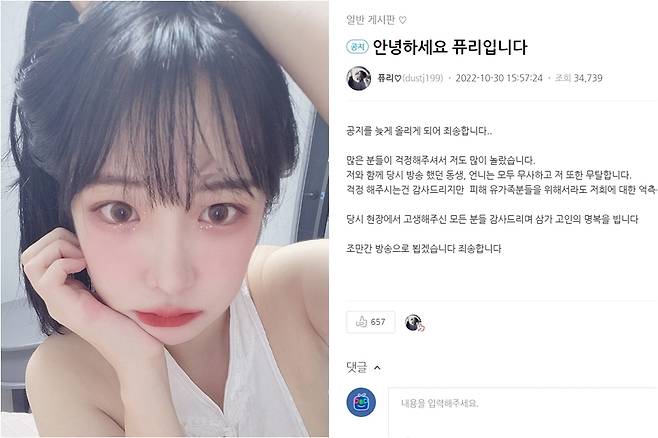 ▲ 출처|아프리카TV BJ퓨리 게시판 캡처