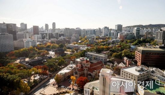 완연한 가을 날씨가 이어지고 있는 25일 서울 중구 정동 일대가 단풍으로 물들고 있다./강진형 기자aymsdream@