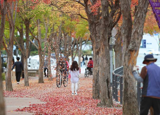 예년보다 따뜻한 날씨를 보인 30일 대구 수성못을 찾은 시민들이 단풍과 함께 주말을 보내고 있다. [연합]