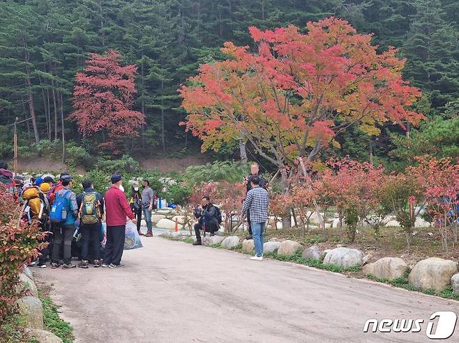 등산객 자료사진. /뉴스1