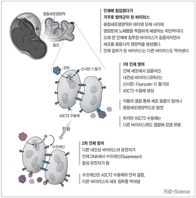 그래픽=손민균