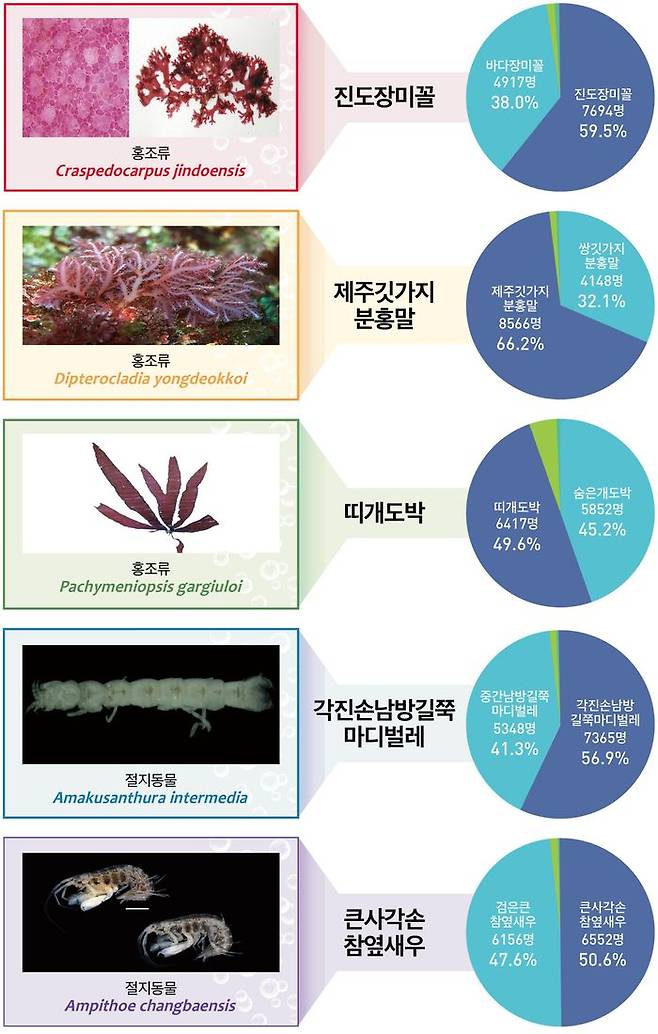 온라인 선호도 조사 결과 ⓒ해수부