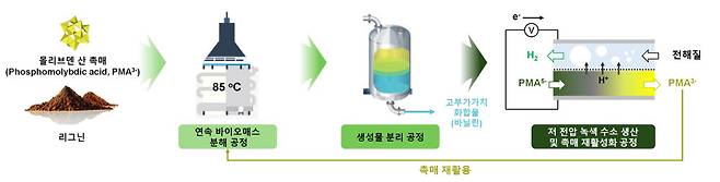 폐목재 분해 및 그린 수소 생산을 위한 연속 공정 모식도.