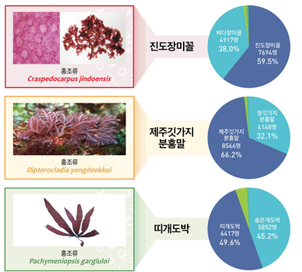 해수부는 온라인 설문조사를 통해 해양생물 10종에 우리말 이름을 지어줬다고 2일 밝혔다. 해수부 제공