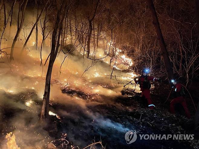 지난봄 동해산불  [연합뉴스 자료사진]