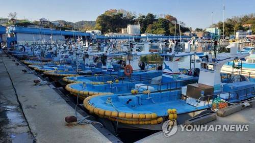 동해안 최북단 대진항 어선들  (강원 고성=연합뉴스) 북한의 탄도미사일 발사로 동해 최북단 저도어장 출어 어선들의 조기 철수 조처가 내려진 2일 어장에 출어했던 어선들이 고성 대진항에 정박해 있다. 2022.11.2  [독자 제공·재판매 및 DB 금지]