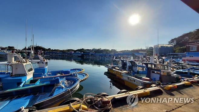 동해안 최북단 대진항 어선들 (강원 고성=연합뉴스) 북한의 탄도미사일 발사로 동해 최북단 저도어장 출어 어선들의 조기 철수 조처가 내려진 2일 어장에 출어했던 어선들이 고성 대진항에 정박해 있다. 2022.11.2 [독자 제공ㆍ재판매 및 DB 금지] momo@yna.co.kr