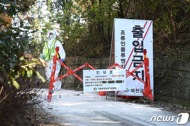 경북 예천군의 한 오리농장에서 발생한 고병원성 조류인플루엔자(AI) 확진과 관련해 가축위생방역지원본부 관계자들이 농장 입구를 통제하고 있다. 2022.10.19/뉴스1 ⓒ News1 공정식 기자