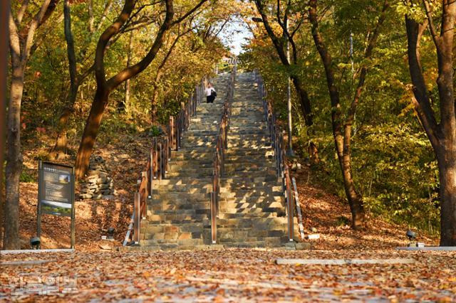 한 시민이 대구 북구 침산동 침산공원 벚꽃돌계단을 내려 오고 있다. 류수현