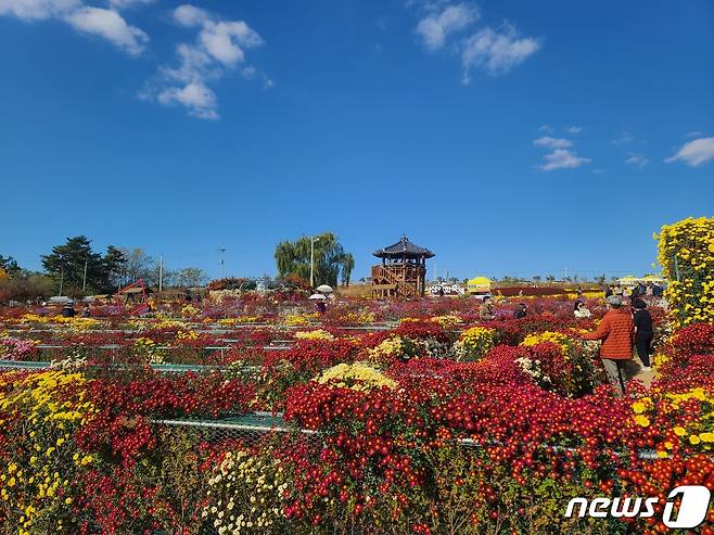 서산국화축제 행사장