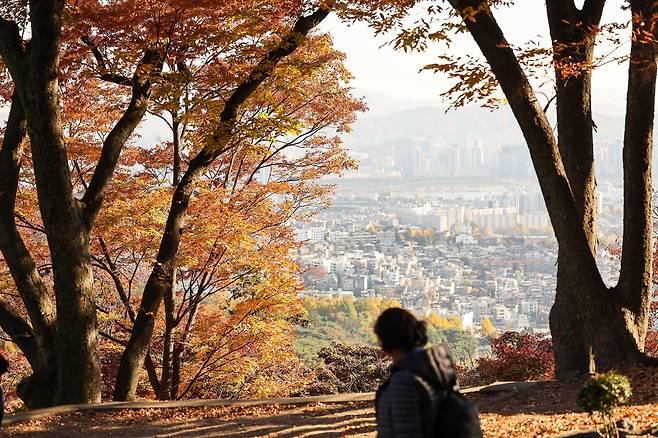 지난 2일 남산에서 바라본 서울 시내. 우상조 기자