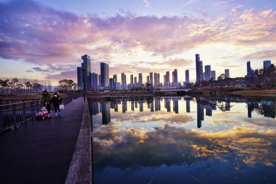 세종시는 7-18일 금강보행교 등지에서 블로그 기자단 사진전을 개최한다. 블로그 기자단이 촬영한 호수공원의 풍광.사진=세종시 제공