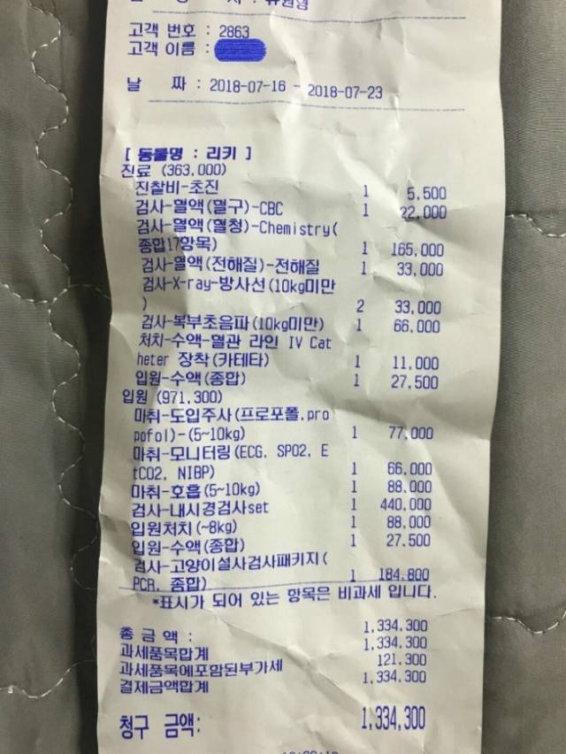 고양이 '리키'의 병원비 영수증. 출처: 인터넷 커뮤니티