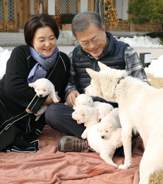 문재인 전 대통령과 김정숙 여사가 풍산개 곰이의 새끼들을 살펴보고 있다 (사진=청와대)