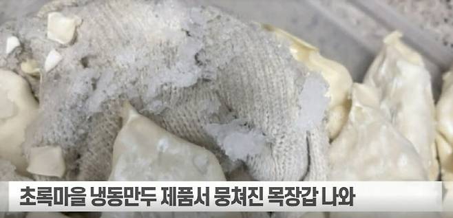 유기농 전문기업 초록마을이 판매하는 냉동만두에서 목장갑이 통째로 나왔습니다. 이데일리TV.