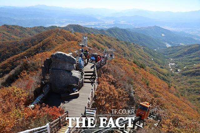 함양 대봉산휴양밸리의 가을/함양군 제공