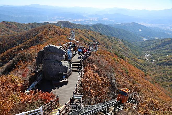 대봉산휴양밸리 가을 풍경