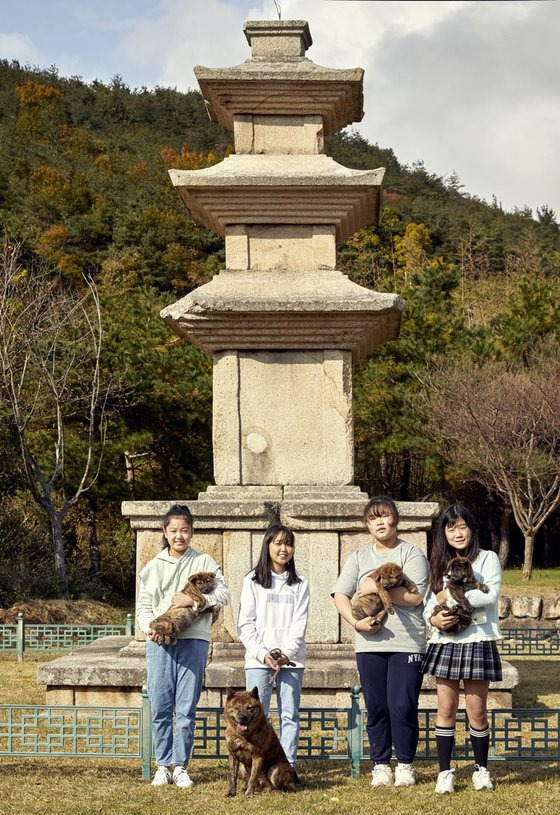 민유빈·나예현·김시현·오지효(왼쪽부터) 학생기자가 경북 경주시 건천읍에 있는 한국경주개동경이보존협회 훈련장을 찾아 경주개 동경이에 대해 알아봤다.