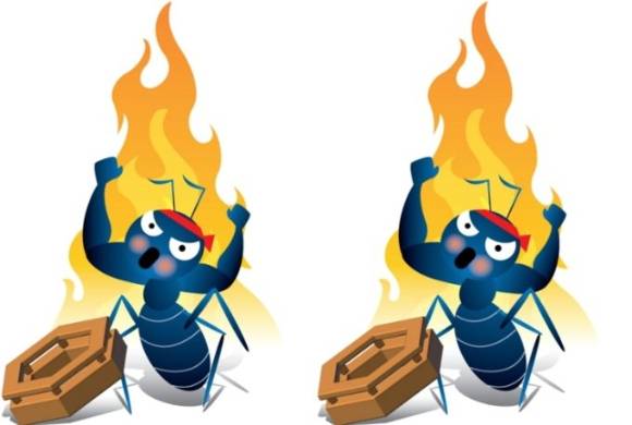 이미지=임종철 디자인 기자