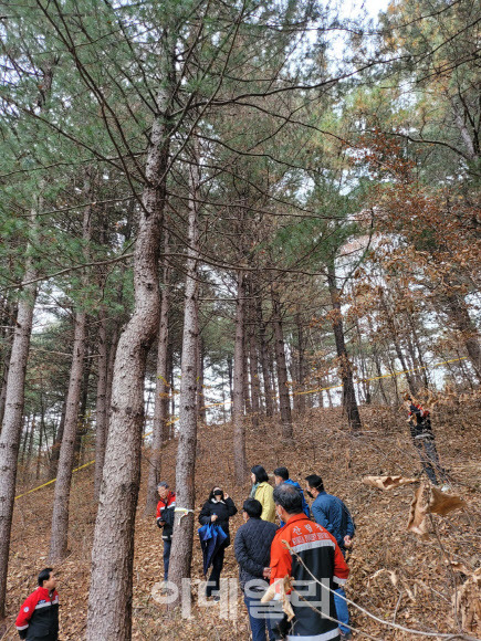 산림청과 지자체 관계자들이 강원 철원에서 소나무재선충병 신규 발생지에 대해 현장점검을 실시하고 있다. (사진=산림청 제공)