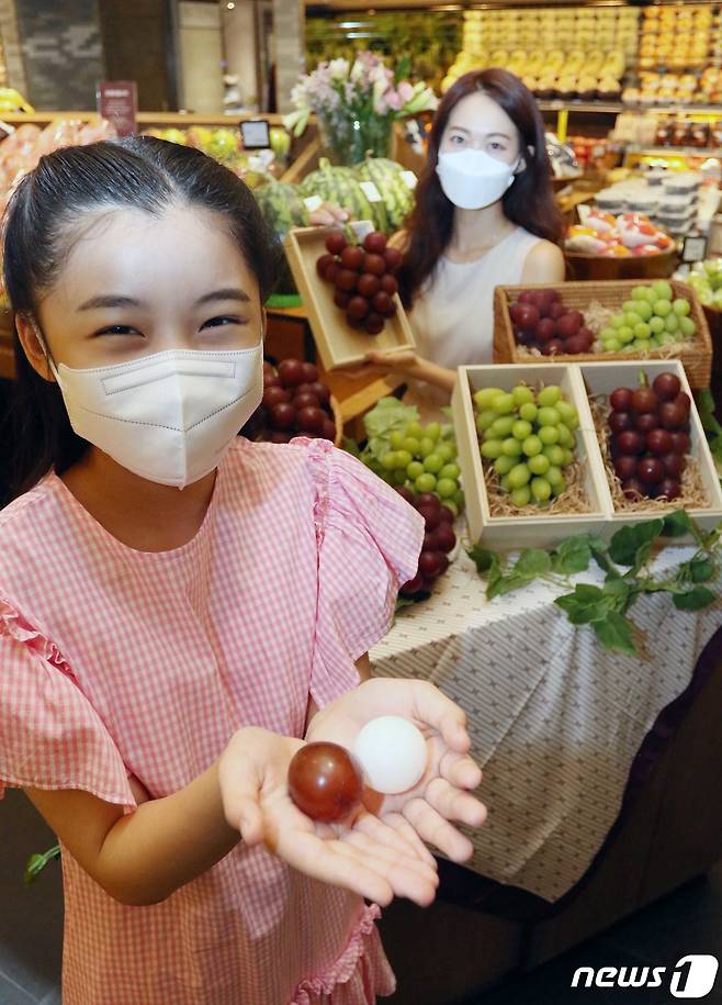 국내 백화점에 납품된 루비로망. 적색 포도가 루비로망이다. 탁구공만한 크기에 씨가 없는 적포도인 루비로망은 세계에서 가장 비싼 포도로 유명하다.  (신세계백화점 제공)