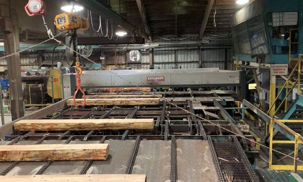 캐나다 브리티시컬럼비아주에 위치한 솔트에어 제재소의 스캐너가 원목을 최적의 상태로 자르기 위해 크기를 측정하고 있다. 이 제재소는 공정의 90%가 자동화돼 있다.&nbsp;