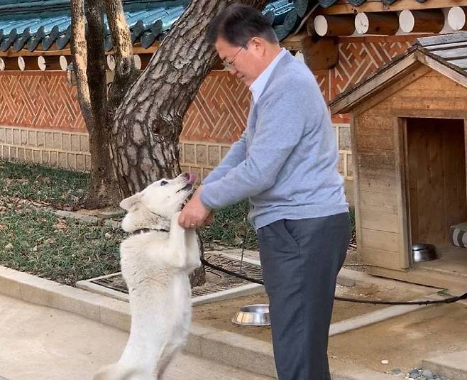 문재인 전 대통령이 지난해 2월 12일 김정은 북한 국무위원장으로부터 선물받은 풍산개 ‘곰이’와 설 연휴를 보내고 있다. (사진=청와대 제공)