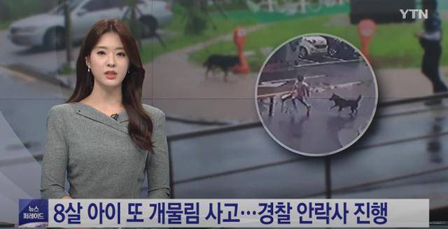 방송통신심의위원회에서 '주의' 조치를 받은 YTN의 어린이 개물림 사고 보도. YTN 유튜브 캡처