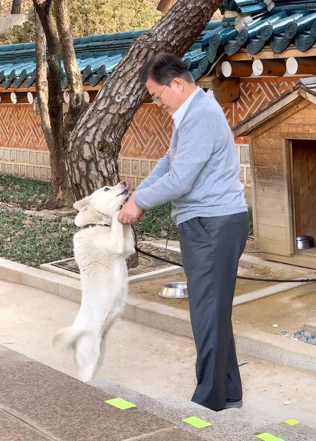 문재인 전 대통령이 지난해 2월 청와대 관저에서 반려견 풍산개 곰이를 돌보고 있다. 청와대 제공