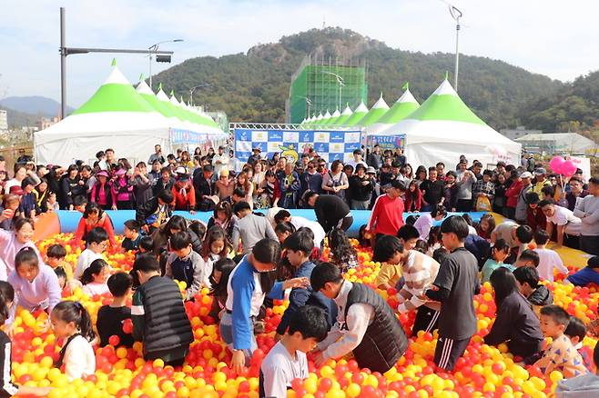 2019 고흥유자석류축제