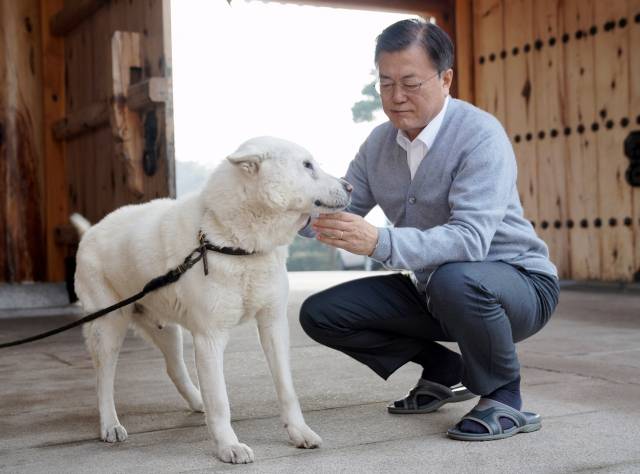 문재인 전 대통령이 2021년 2월 12일 청와대 관저에서 반려견 풍산개 마루를 돌보고 있다. 청와대 제공