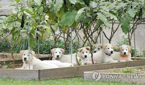 [연합뉴스 자료사진]